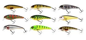 fiske202606080901213225937