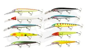 fiske202606080902013225984