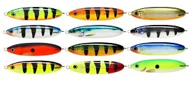 fiske202606080903183226107