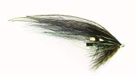 fiske202606080916043226962