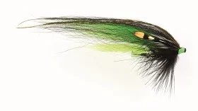 fiske202606080916083226978