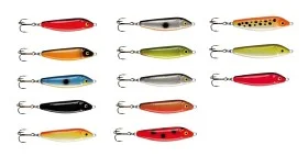fiske202606080926553227577