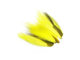 fiske202606080941443228454