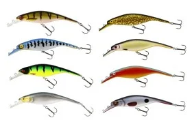 fiske202606081006053229867