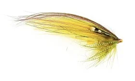 fiske202606081010143230224