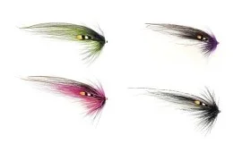 fiske202606081010163230227