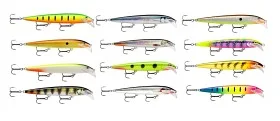 fiske202606081010413230284