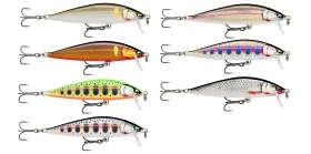 fiske202606081010443230286