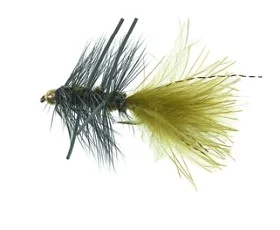 fiske202606081013023230511