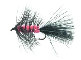 fiske202606081013123230526