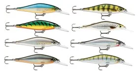 fiske202606081014333230667