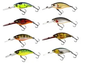 fiske202606081014573230706