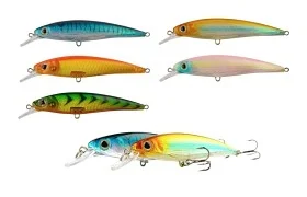 fiske202606081016313230847