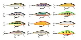 fiske202606081018193231042