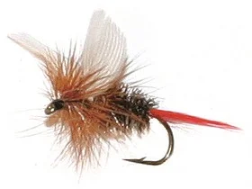 fiske202606081019423231208