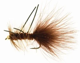fiske202606081019473231219