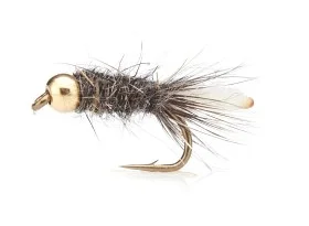 fiske202606081019483231221