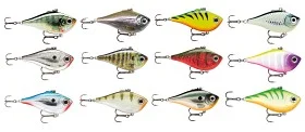 fiske202606081021363231414