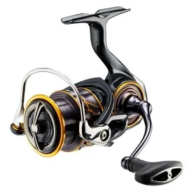 fiske202606081026203231961