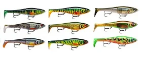 fiske202606081028143232163