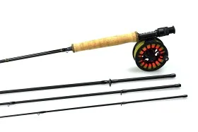 fiske202606081030393232416