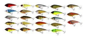 fiske202606081031113232478