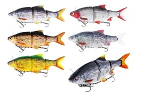 fiske202606081031333232526