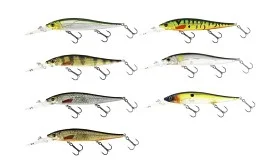 fiske202606081033463232904