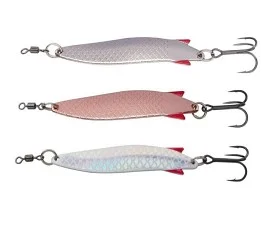 fiske202606081036263233379