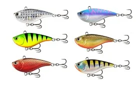 fiske202606081036473233444