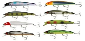 fiske202606081038153233699