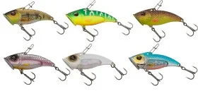 fiske202606081039193233888