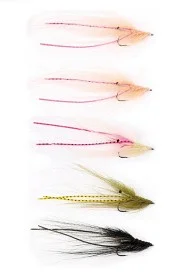 fiske202606081039243233903
