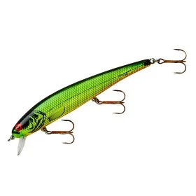 fiske202606081043053234443