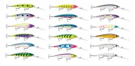 fiske202606081045473234853