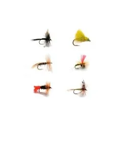 fiske202606081046143234922