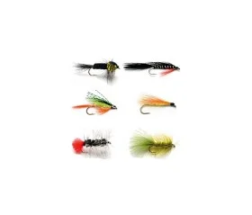 fiske202606081046163234929