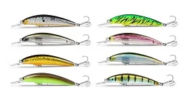 fiske202606081046323234968