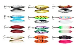 fiske202606081047203235081