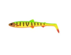 fiske202606081050143235458
