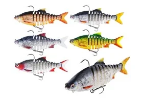 fiske202606081055553236240