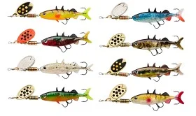 fiske202606081056483236335