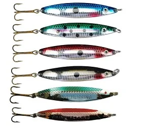 fiske202606081059423236761