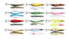 fiske202606081100583236930