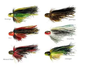 fiske202606081106123237778