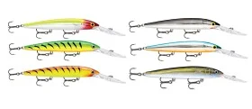 fiske202606081107173237935