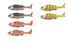 fiske202606081107263237959