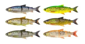 fiske202606081109013238220