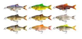 fiske202606081109043238230