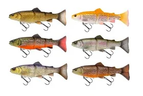fiske202606081109293238306